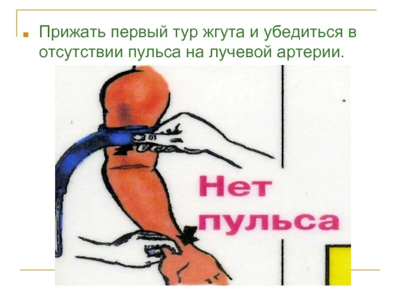 Методика пальпации пульса. Пульс на лучевой артерии. Пальпация пульса. Исследование пульса на лучевой артерии. Измерение пульса на лучевой.