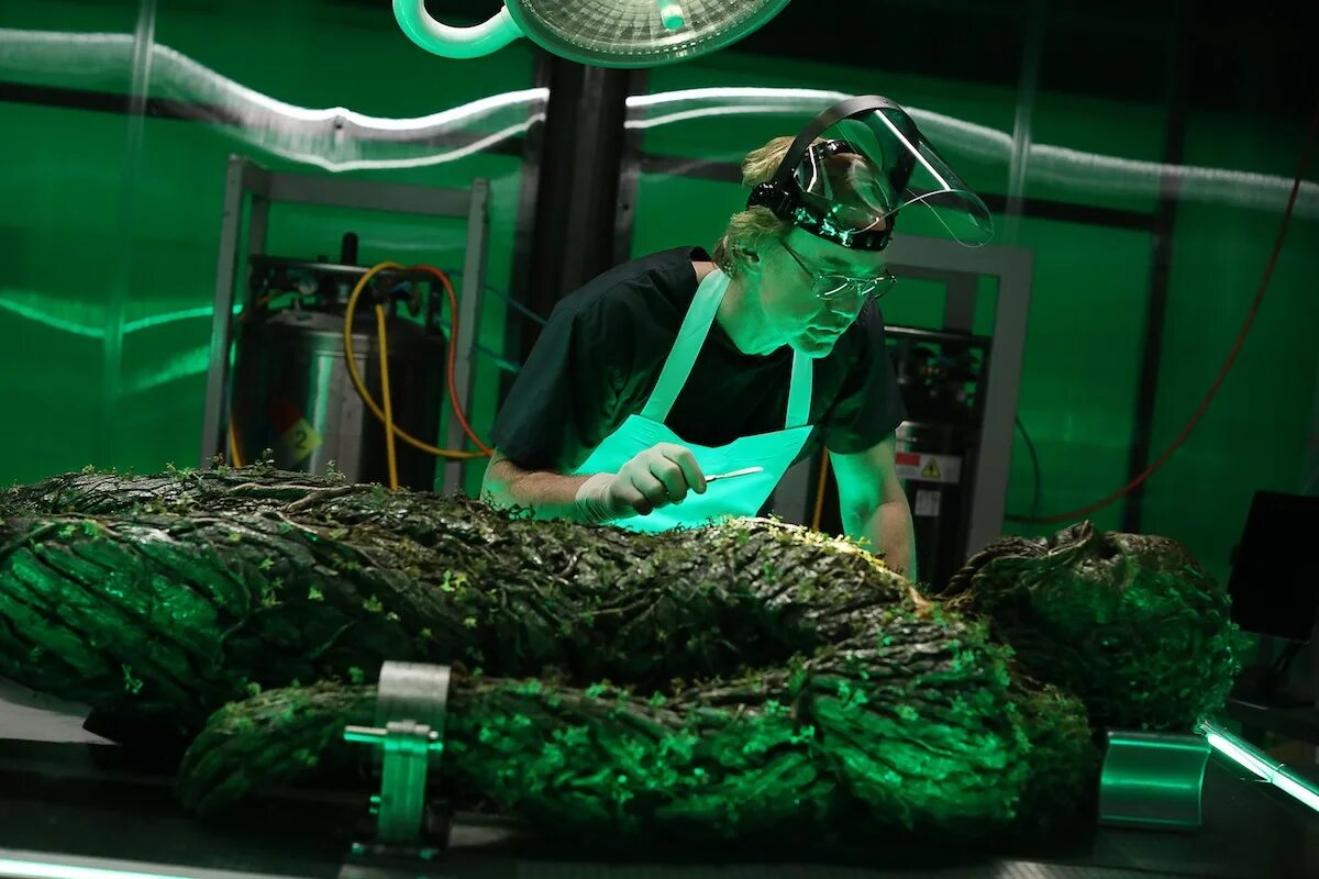 Возвращение болотной твари фильм 1989. Тварь содержание. Тварь содержание. Тварь содержание. Правила русской охоты.