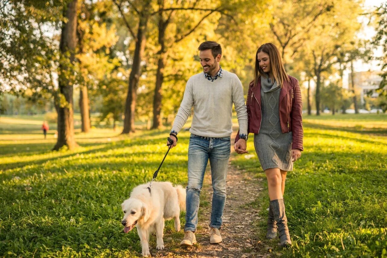 Walking pet. Прогулка с собакой. Прогулка в парке. Прогулка с собакой в парке. Люди гуляют.