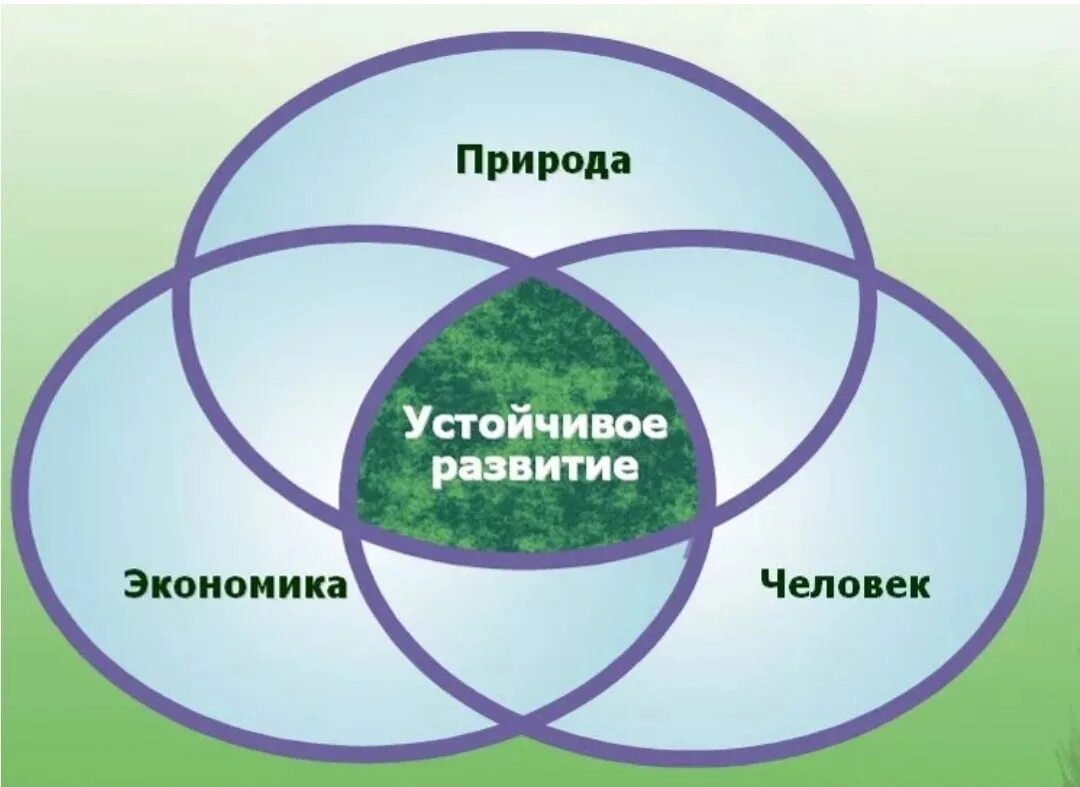 Общество экономика проект. Принципы устойчивого развития схема. Устойчивое развитие. Концепция устойчивого развития. Понятие устойчивого развития.