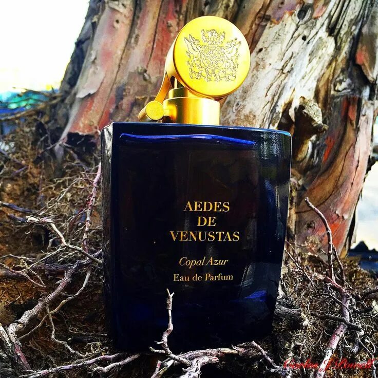 Aedes de venustas дюшофур. Copal azur. Copal azur. Aedes de venustas дюшофур. Copal azur духи.
