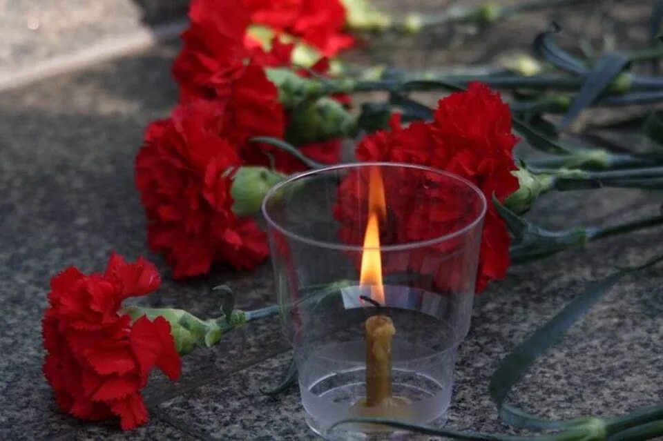 Вечная память. Цветы памяти и скорби. Гвоздики и свеча памяти. Свечу памяти погибшим на Украине.