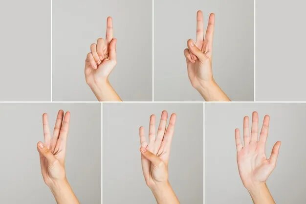2 2 четыре пальца. Жест 4 пальца. Язык жестов 4 пальца. Мем с подсчетом на пальцах.