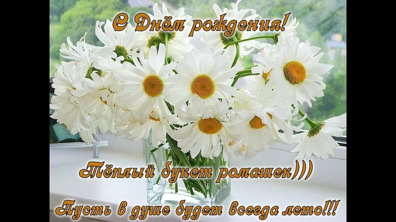 С юбилеем открытка с ромашками. С днём рождения женщине ромашки. Букет ромашек открытка. Открытки с днём рождения ромашки красивые. Красивый букет из ромашек.