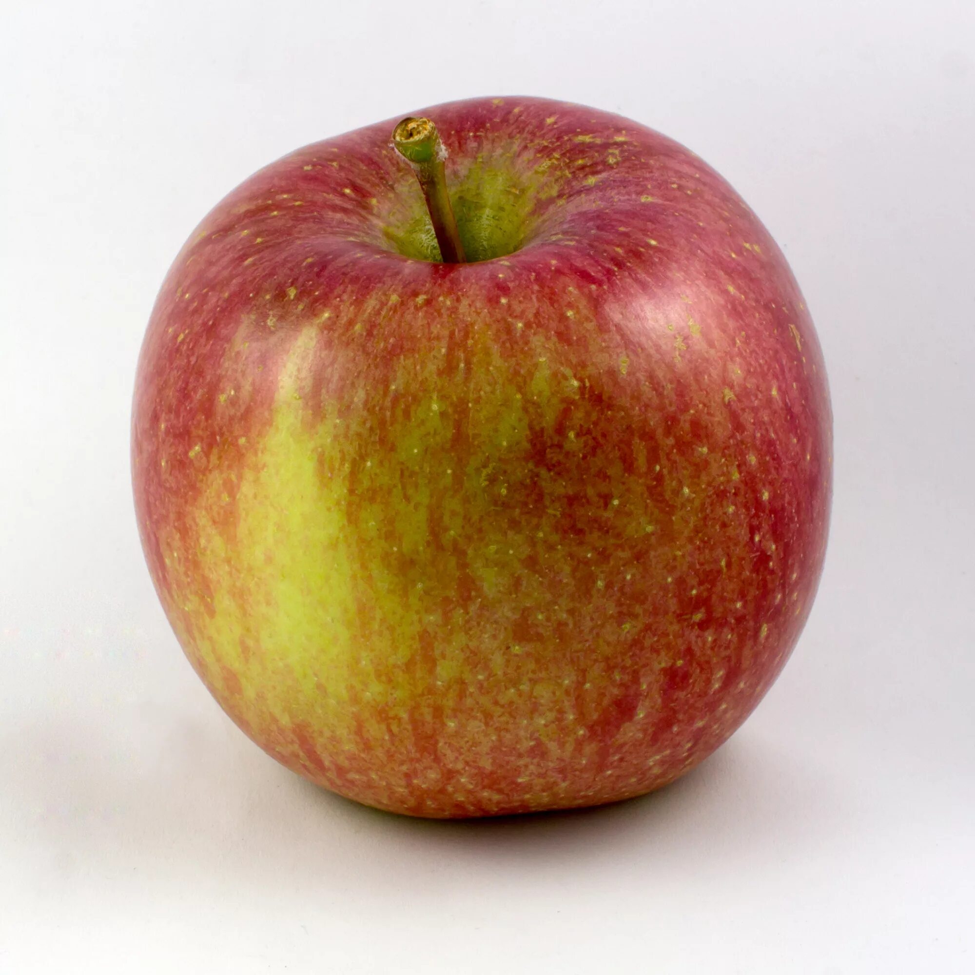 Яблоки фуджи фото и описание. Сорт яблок Фуджи. Fuji (Фуджи) яблоки. Фуджи (сорт яблони). Сорта яблок Фуджи Гала.