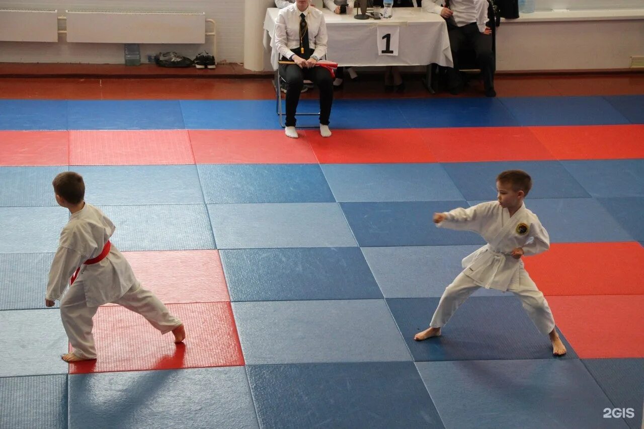 поволжская академия боевых искусств тольятти. поволжская академия боевых искусств. боевого искусства тольятти. сандорюкан тольятти. альтаир спортивный клуб.