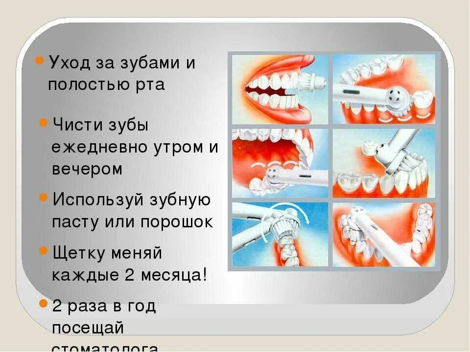 Чистите зубы 2 раза в день