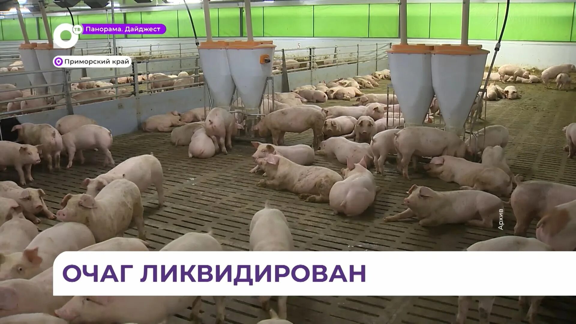 Русагро приморье ачс. Русагро приморье ачс
