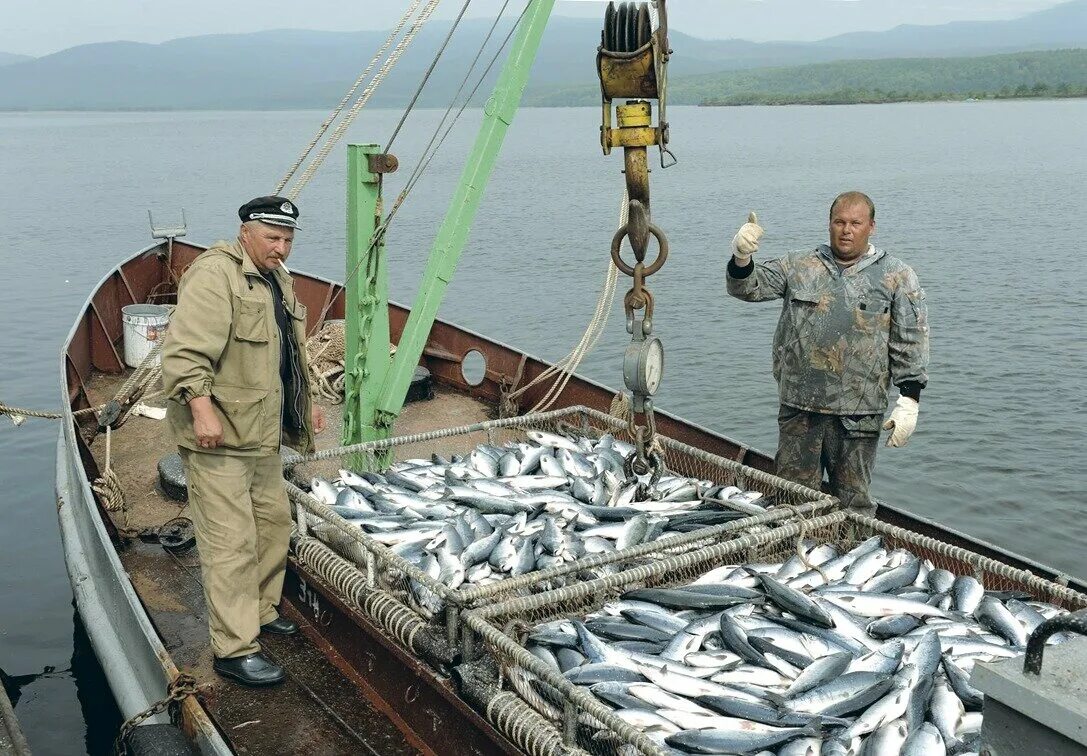 Рыболовецкая Артель. Рыболовецкая Артель 684111. Рыболовецкий колхоз Балтика. Рыболовецкая Артель Иня. Артели хабаровск