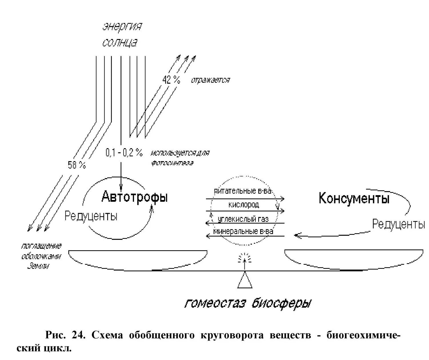 Круговорот воды в природе схема. Гомеостаз биосферы. Гомеостатической регуляции органического вещества в биосфере. Регуляция органического вещества в биосфере. Какие утверждения о взаимодействии биосферы