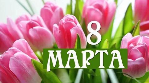 Лучшие видео март