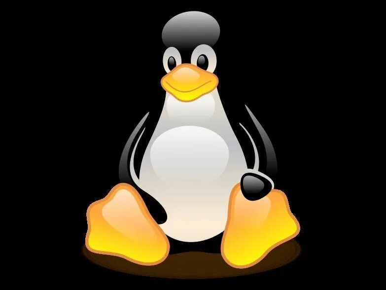 Символ linux. Ос linux пингвин. пингвин на черном фоне. linux логотип. значок линукс.