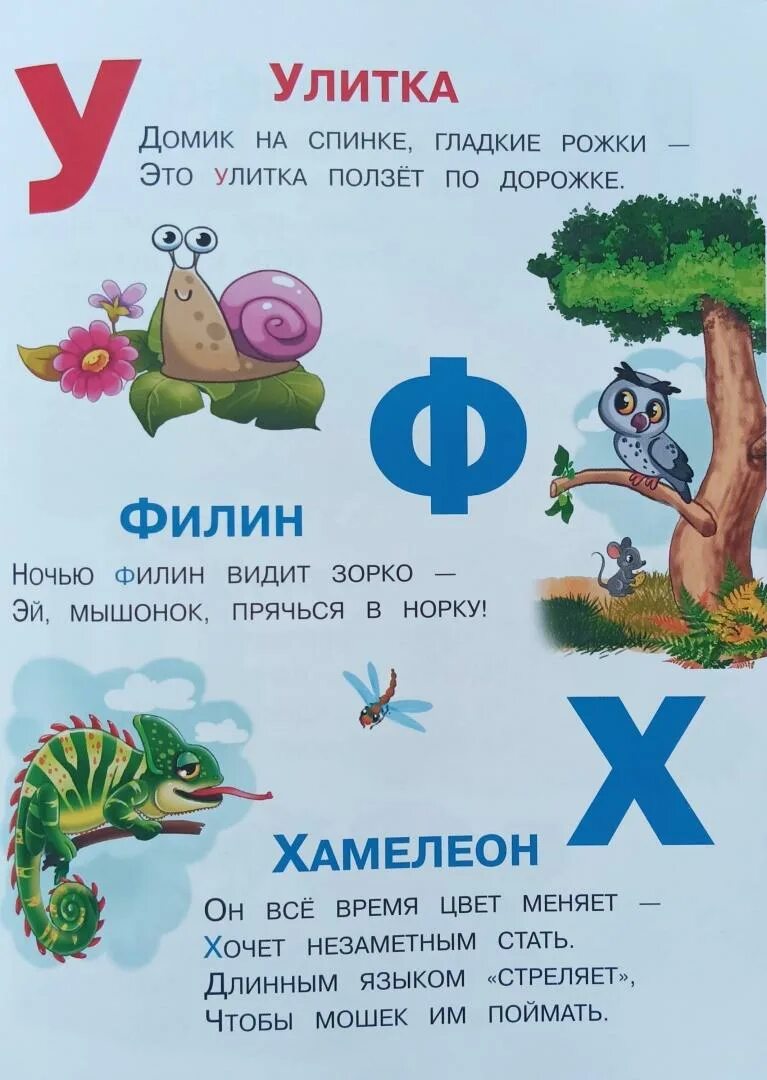 Сиб книги