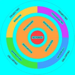 Сферы жизнедеятельности человека