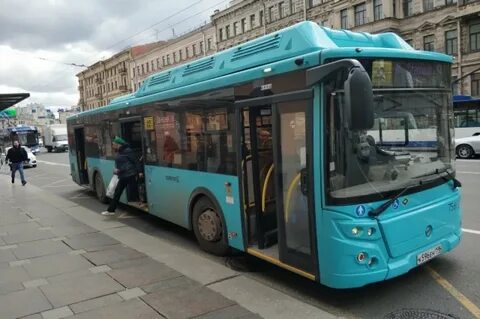 272 автобус санкт