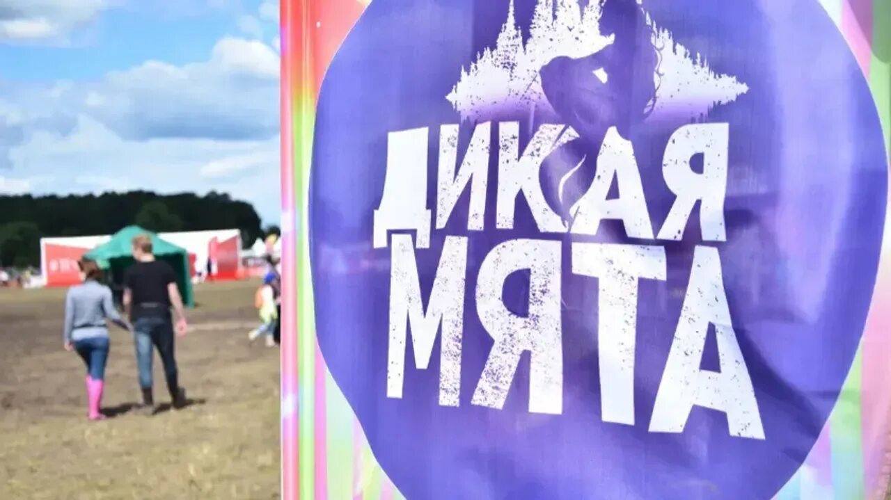 Дикая мята фестиваль 2025. Дикая мята плакат. Этномир дикая мята. Дикая мята фестиваль 2025. Дикая мята 2022 участники.