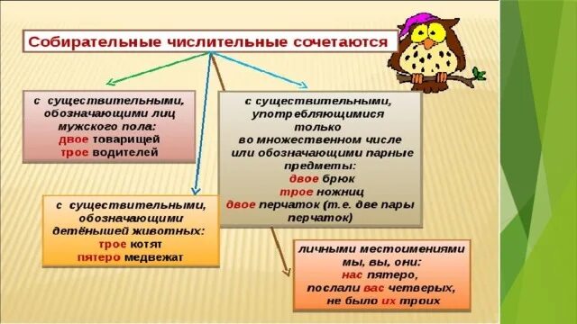 В каком предложении есть собирательное числительное. Собирательные числительные презентация. Собирательные числительные 6 класс презентация. Рисунок собирательных числительных. Презентация урока собирательные числительные 6 класс ладыженская.