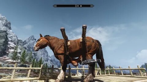 Lara with horse x ray