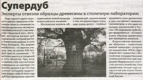Дуб сколько плодоносит в жизни
