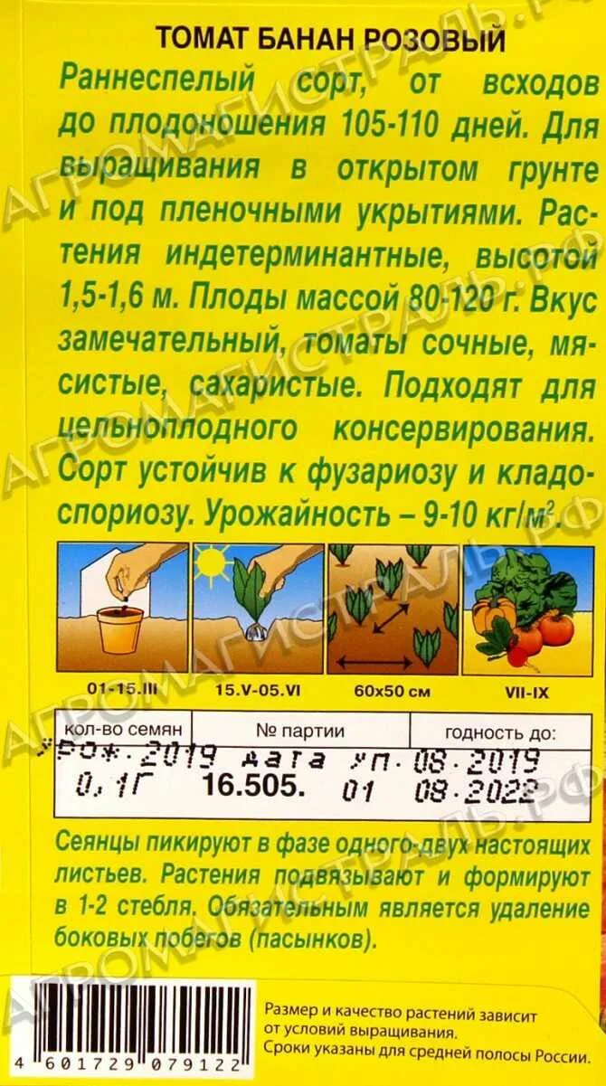 Томат сорт бананов. Сорт томатов банановые ноги. сорт томатов банан. томат сибирский банан желтый. семена томат сибирские бананы.