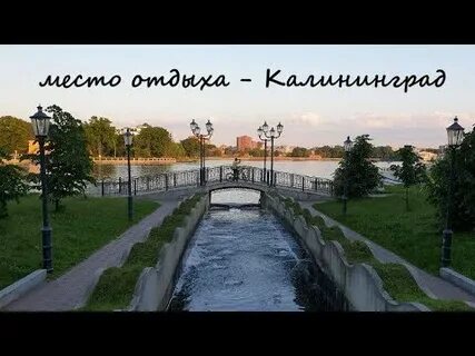 Тута калининград