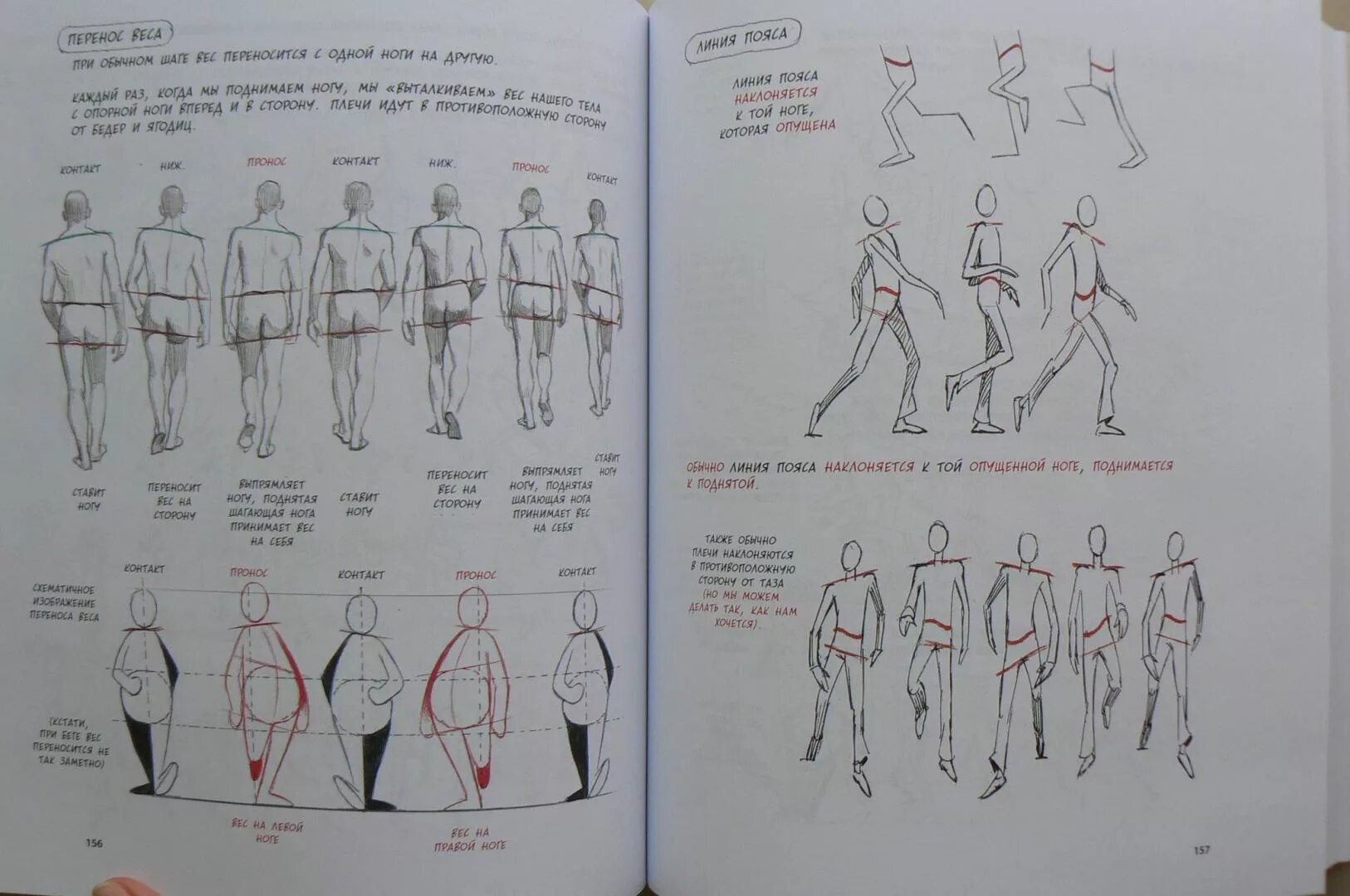 Книга ричард уильямс аниматор. Компьютерная анимация по ключевым кадрам. Тайминг в анимации гарольд уайтэкер джонс халас. Перелистывание страниц анимация. Создание анимации книга.