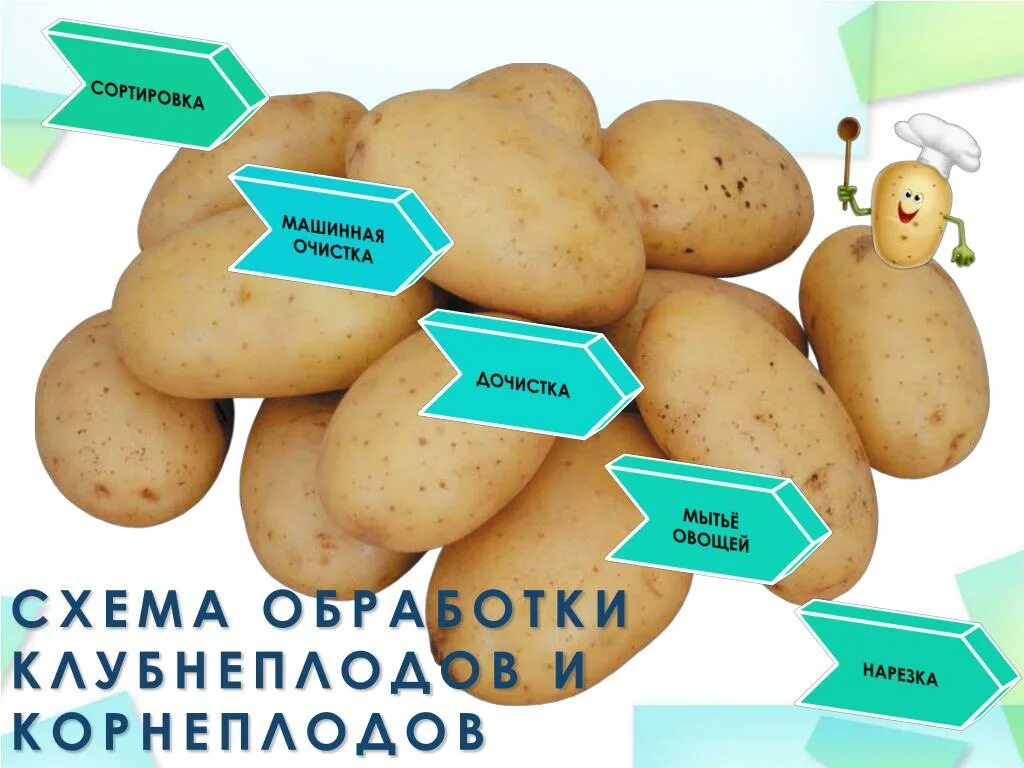 Как производят механическую кулинарную обработку картофеля
