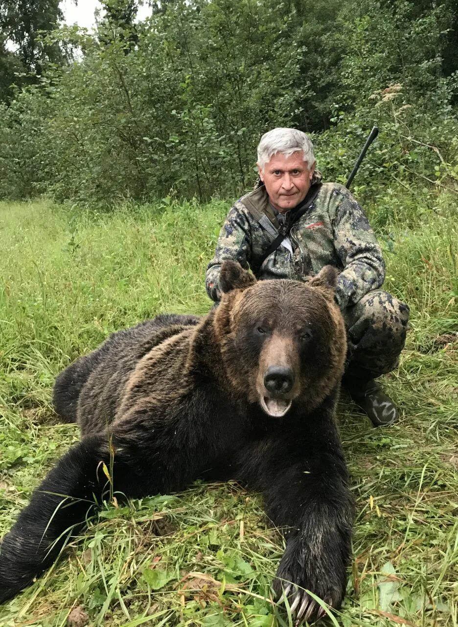 Бурый медведь в Якутии.