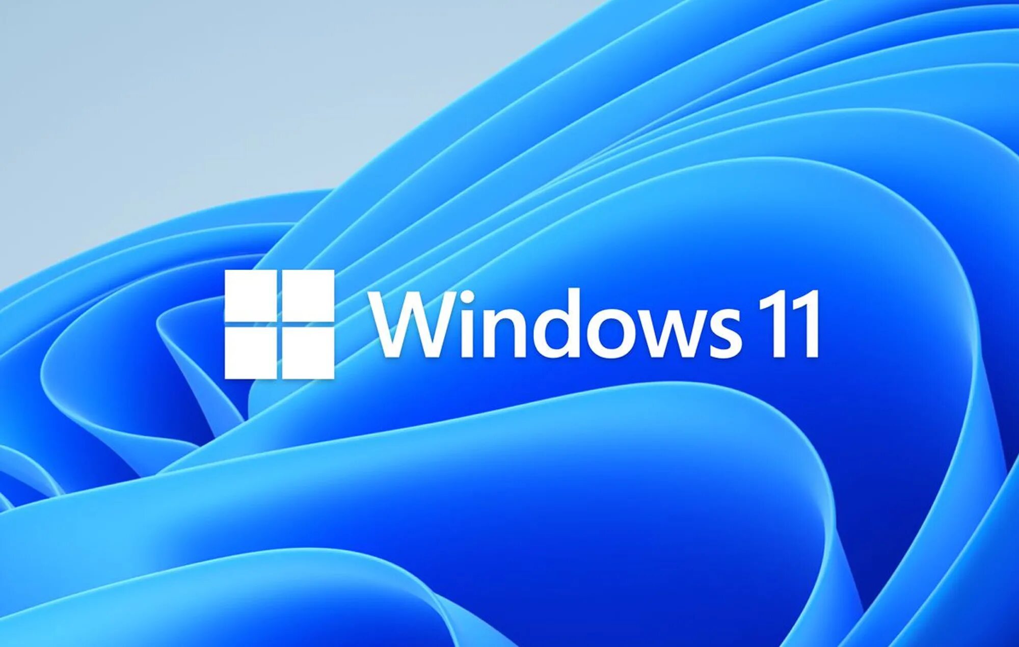 Windows 11 iso