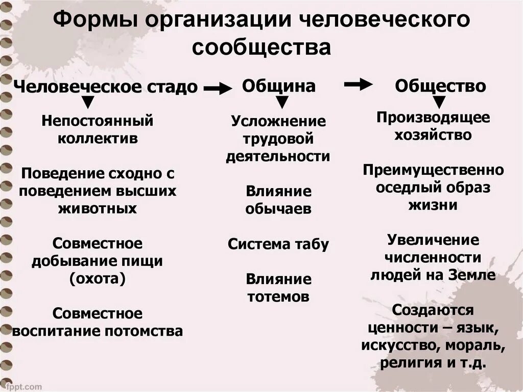 Этап организации общества