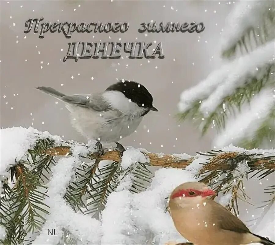 Good morning friends!!! 2023 ЧП Старая Русса © VK