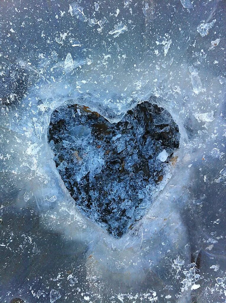 Ледяное сердце. Сердце во льду. Замороженное сердце. Замерзшее сердце.