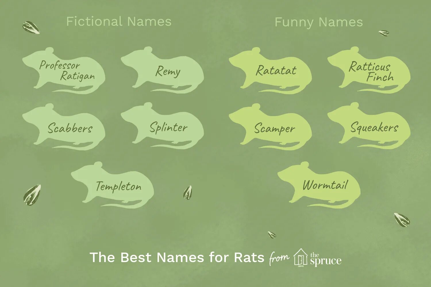 Funny pet names. Красивые имена для крыс мальчиков. Красивые клички для крыс девочек. Красивое имя для крыски. Парные имена для крыс мальчиков.