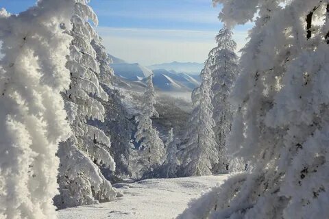 Климат холод
