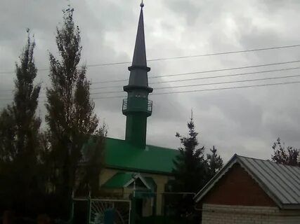25 ел