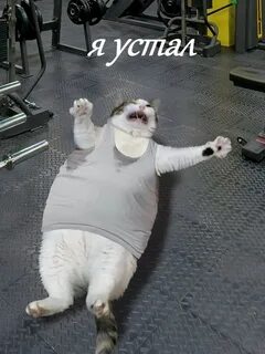 Я упал