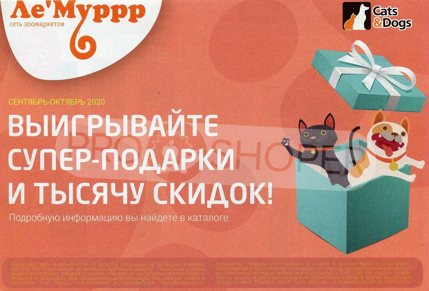 Лямуррр интернет магазин для животных. Лямуррр интернет магазин для животных тюмень. лямуррр интернет.
