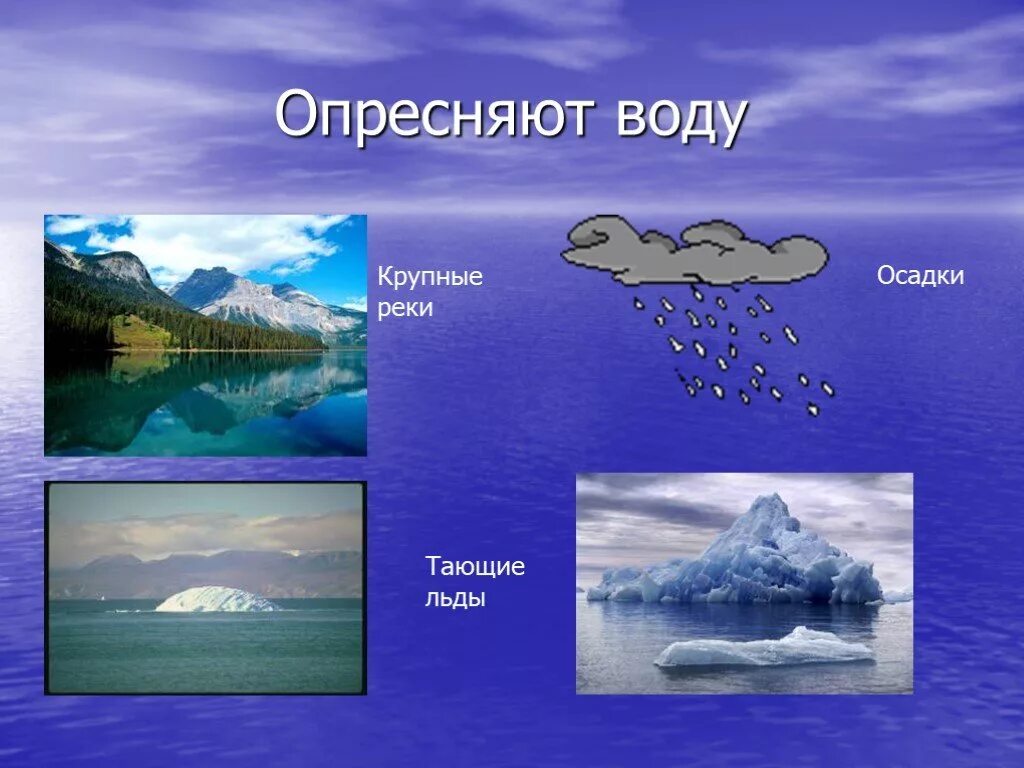 Тест жизнь в океане 6 класс