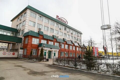 Чеб опт