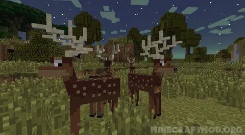 Twilight 1.16 5