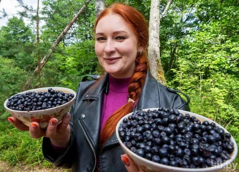 Сбор ягод в лесу. Сбор ягод и грибов относится к охране природы. производители ягод россии. черника в руке в лесу. ягоды 2025.