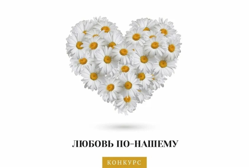 день семьи ромашки. день семьи название. фотоконкурс ко дню семьи любви и верности.