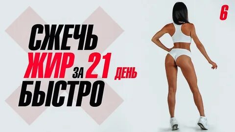 Включи 21 6