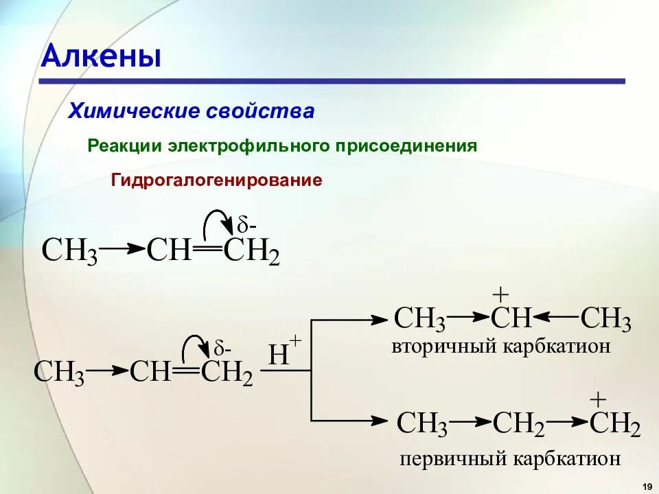 Химические свойства алкенов механизм реакции. Условия реакции гидрогалогенирования алкенов. Гидрогалогенирование алкенов катализатор. Реакция гидрогалогенирования алкенов. Алкены реакции гидрогалогенирования