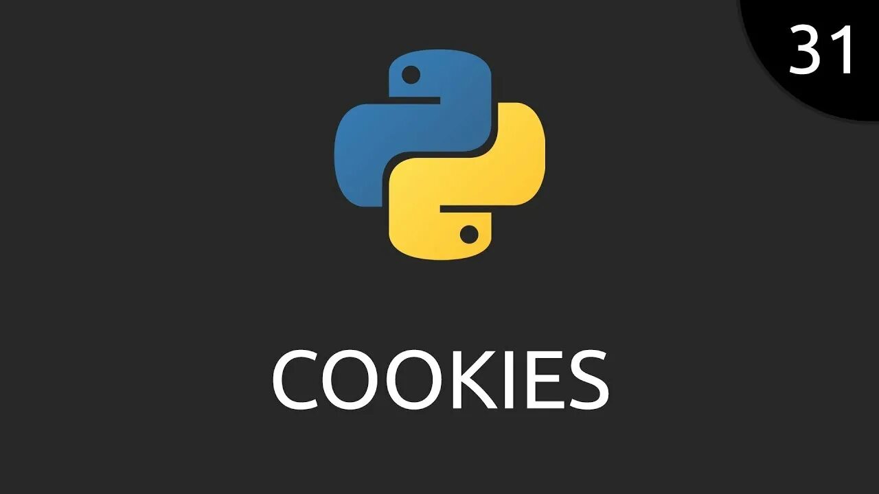 Python cookie. Python картинки. Обои питон язык программирования. Программирование фон Python. Python логотип.