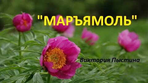 Марья моль