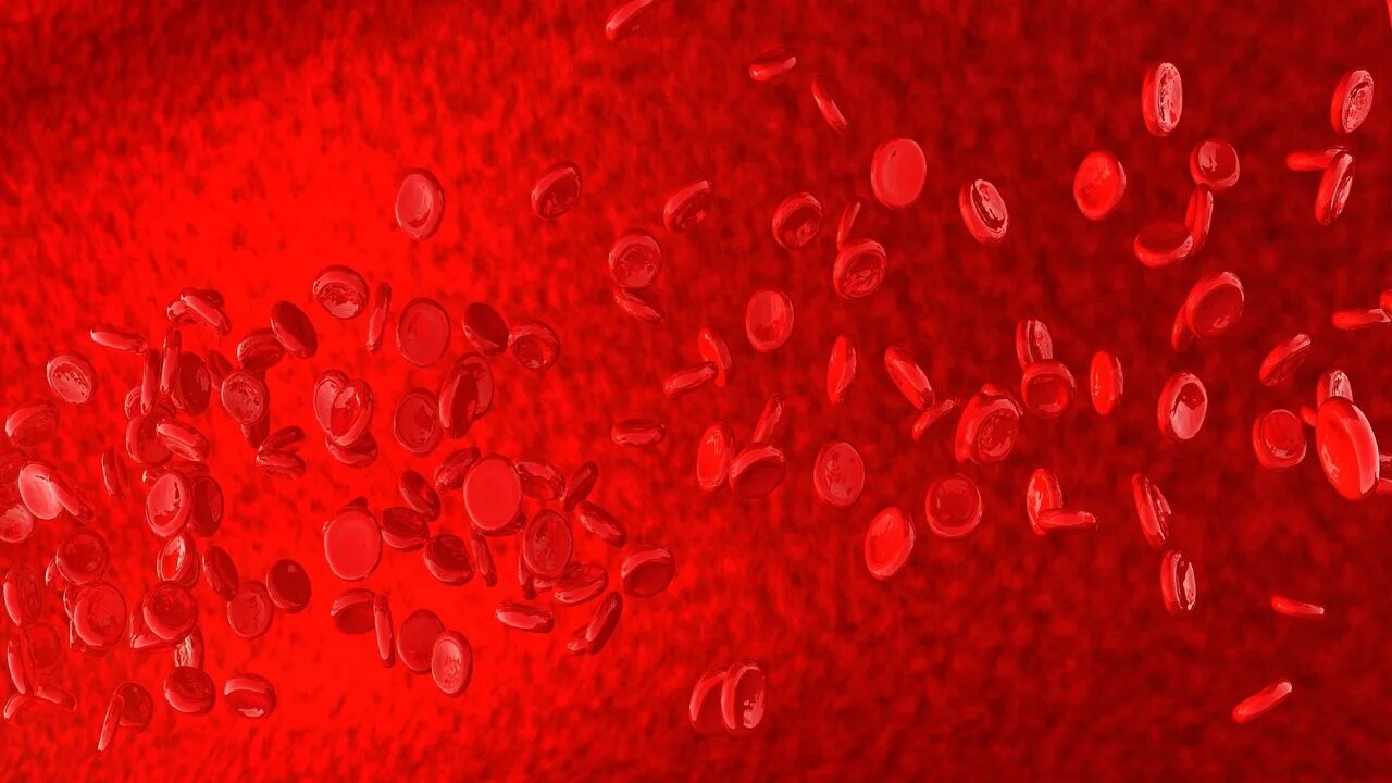 Красная клетка. Красные клетки крови.
