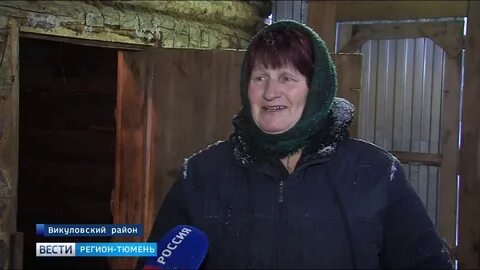 Погода озерное викуловский тюменская область