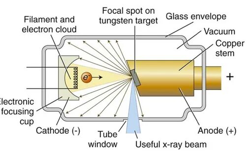Source x rays