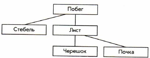 Отметьте общие объекты